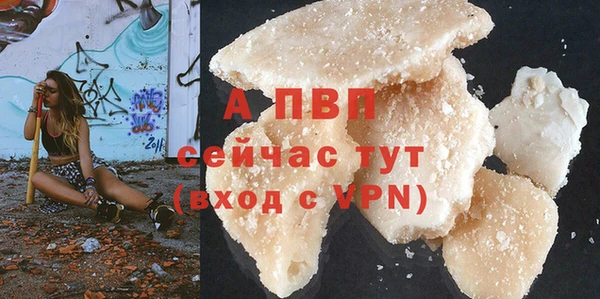 ГАЛЛЮЦИНОГЕННЫЕ ГРИБЫ Магас