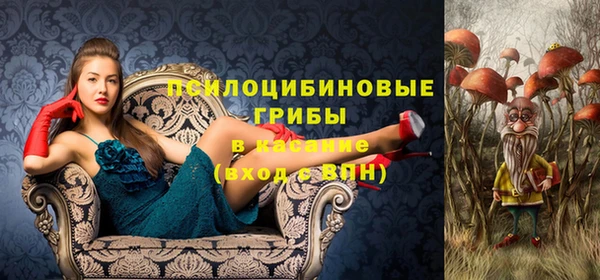 ГАЛЛЮЦИНОГЕННЫЕ ГРИБЫ Магас