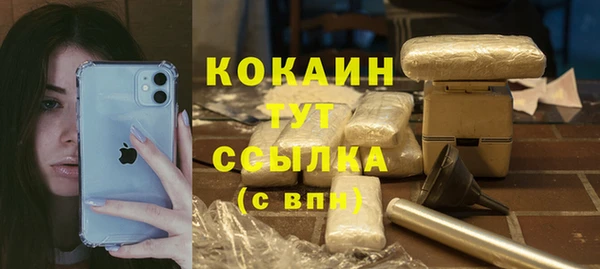 ГАЛЛЮЦИНОГЕННЫЕ ГРИБЫ Магас
