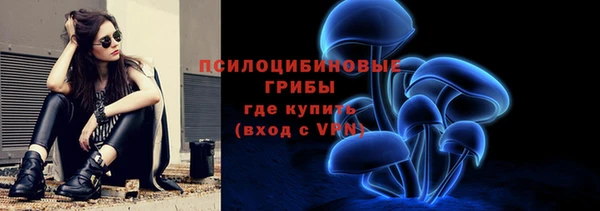 2c-b Липки