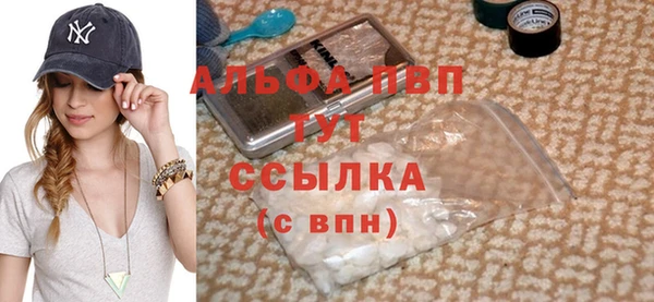 ГАЛЛЮЦИНОГЕННЫЕ ГРИБЫ Магас